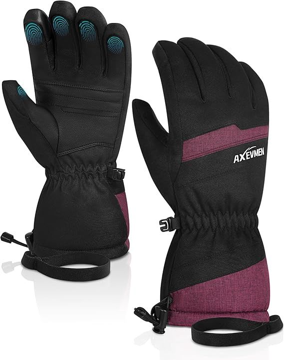 Waterproof Ski Gloves, Large