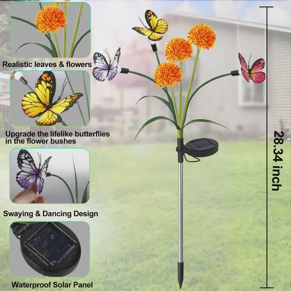 Solar Flower and Butterflies