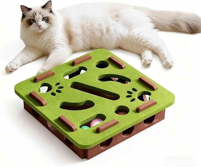 Cat Scratch Puzzle