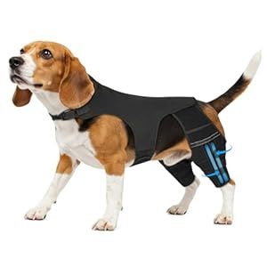 Dog Leg Brace  (medium)