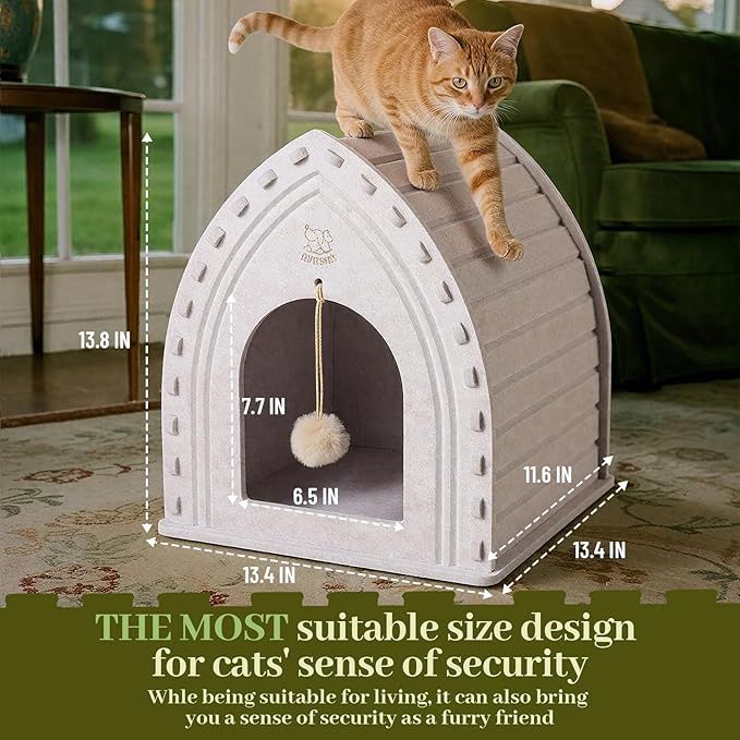Cat House