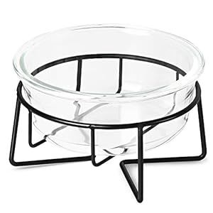 Glass Raised Pet Bowl