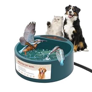 Heated Pet Bowl, Green 2.2L