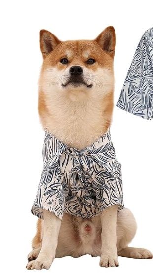 Hawaiian Dog Shirt
