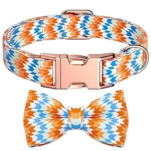 Colorful Collar w/detachable Bow, XL
