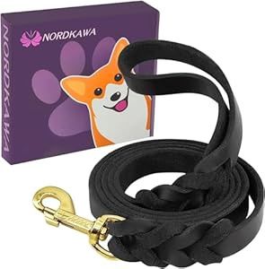 Braided Leather Leash, 5ft