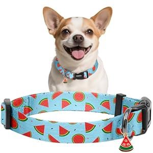 Watermelon XS Collar