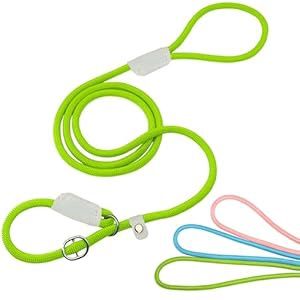 Slip Lead Leash, 5ft.