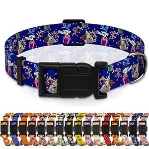 Birthday Collar, XS
