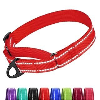CollarDirect Red Collar, Medium