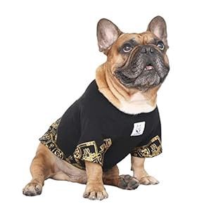 iChoue Money Shirt, Large Plus