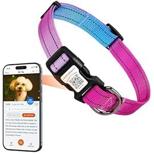 ilFindYou Reflective Collar, Large