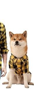 Plaid Dog Shirt, Large