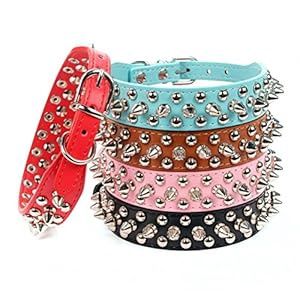 Blue Spiked Collar