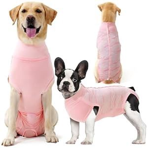 Surgery Recovery Suit for Dog, XL