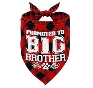"Promoted to Big Brother" Bandana