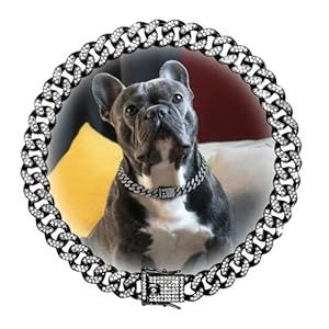 22in. Cuban Link Dog Chain