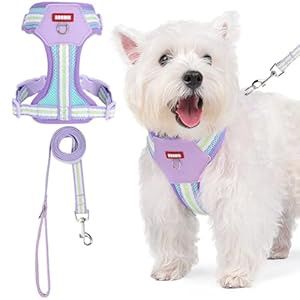 Pet Harness, SMALL