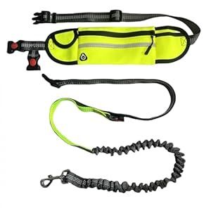 FJ Hands Free Dog Leash w/Zipper Pouch