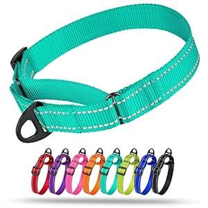 CollarDirect Mint Green, M