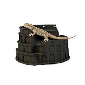 Amphitheater Shaped Reptile Tank Decor