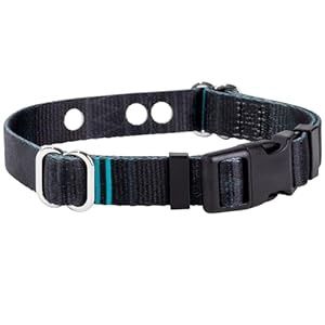 E Collar (medium)