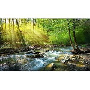 Aquarium Background Flowing Stream (36x24)