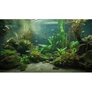 Aquarium Background Aquatic Plants (30x12)