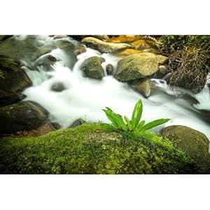 Aquarium Background Rock River(30x18)
