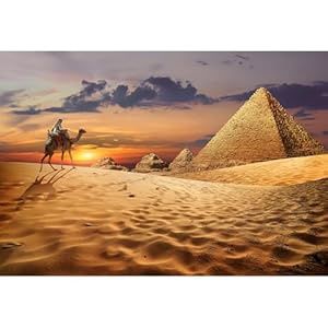 Aquarium Background Pyramids ( 36x24)