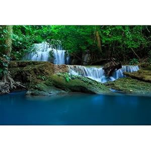 Aquarium Background Waterfall Jungle Forest(30x18)
