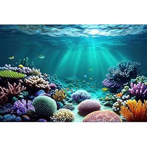 Aquarium Background Colorful Exotic Corals(24x16)