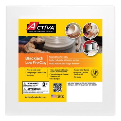 Activa Activ-Low Fire Clay (SS-2) Natural Kiln 20lb