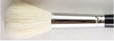 Brush Heinz Jordan 699-16 Pony Mop