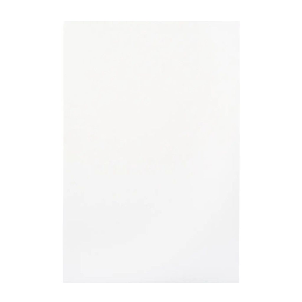 Bristol Board 4ply 22x28 White