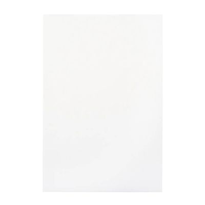 Bristol Board 4ply 22x28 White
