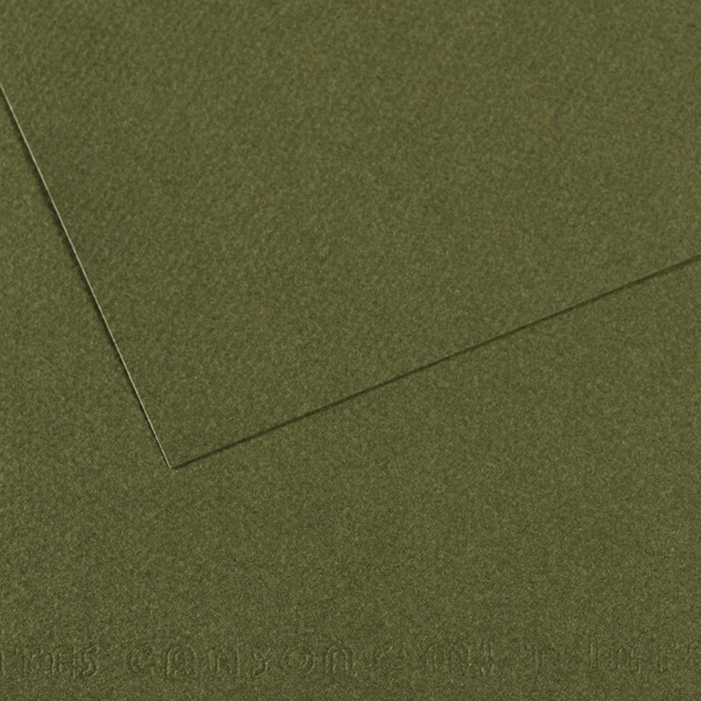 Canson Mi-Teintes Ivy 19x25 (100511247)