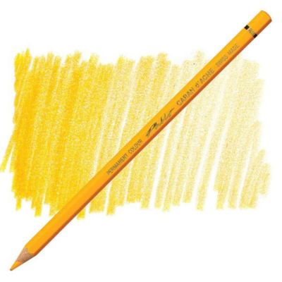 Caran D'Ache Pablo Permanent Coloured Pencil Fast Orange 300