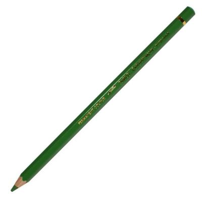 Caran D'Ache Pablo Permanent Coloured Pencil Moss Green 225