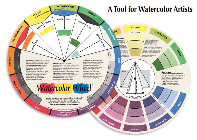 Water Color Wheel