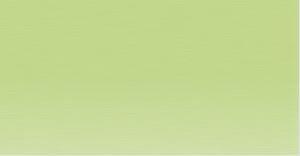 Derwent Coloursoft Pencil Lime Green C460 *ND*