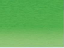 Derwent Pastel Pencil Pea Green 430 **ND**