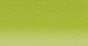 Derwent Coloursoft Pencil Yellow Green C450 *ND*