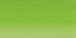 Derwent Coloursoft Pencil Green C420 *ND*