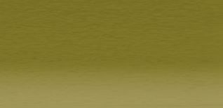 Derwent Coloursoft Pencil Lichen Green C500 *ND*