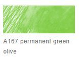 Faber Castell Goldfaber Aqua Pencil #167 Permanent Green Olive **ND**