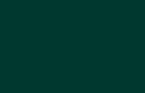 Golden Fluid 1oz. Phthalo Green (Y.S.) S4 **ND**