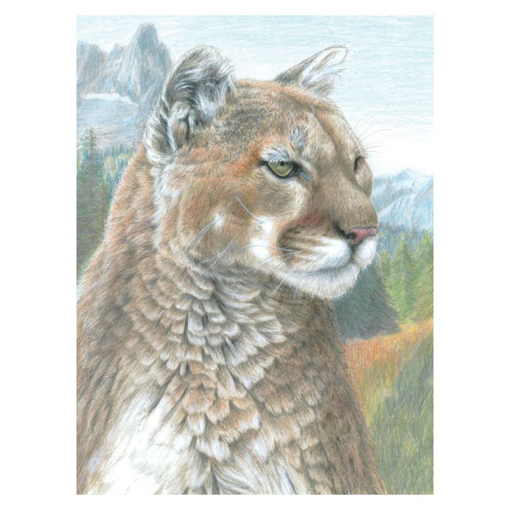 Royal &amp; Langnickel Colour Pencil by Numbers Cougar
