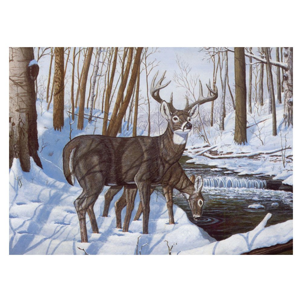 Royal &amp; Langnickel Paint by Numbers Winter Bliss