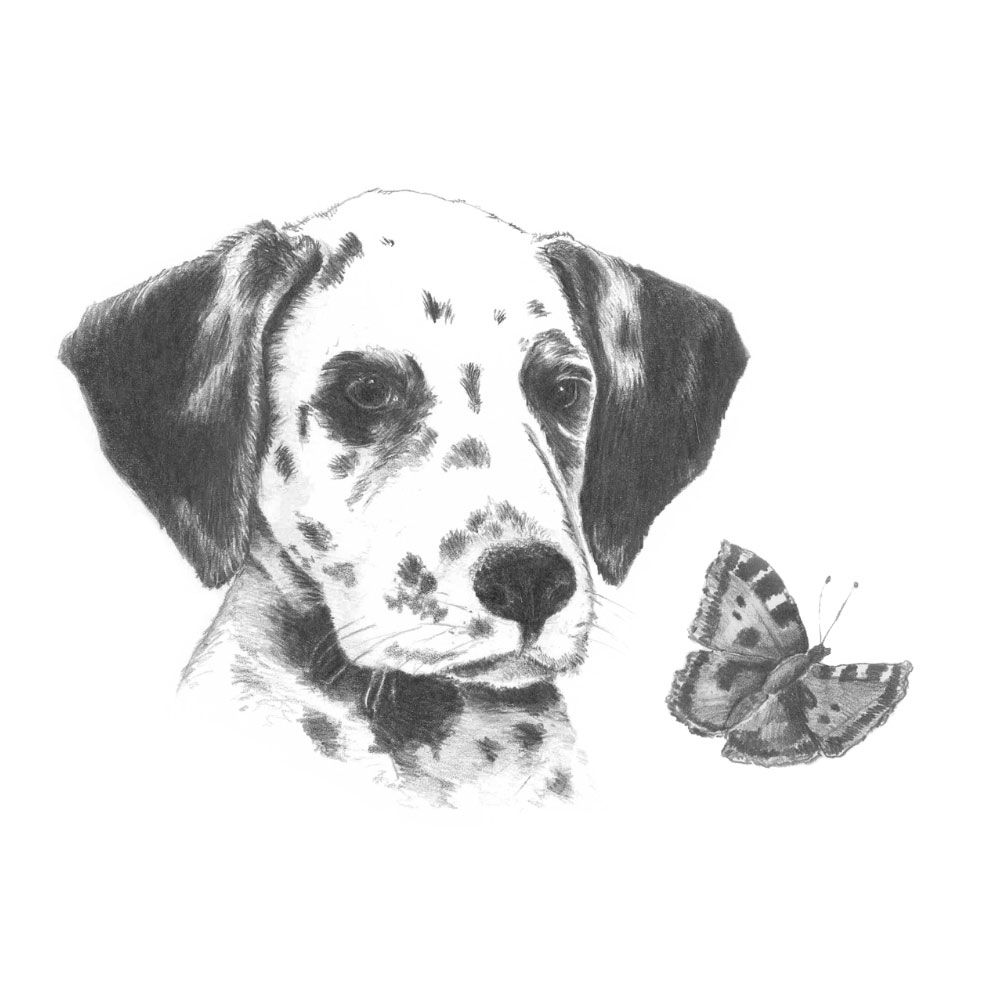 Royal &amp; Langnickel Mini Sketching Made Easy Dalmatian Pup